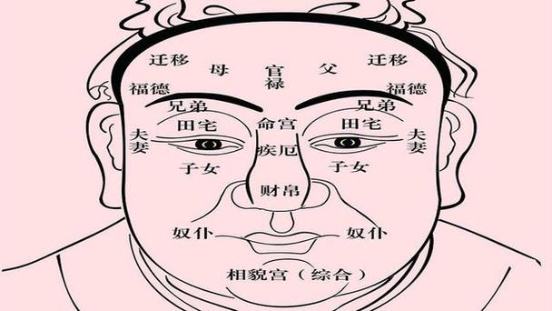 面相分析什么是老来福的命