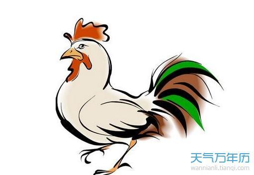 生肖属鸡的女人在2020年感情运,务必要学会主动出击