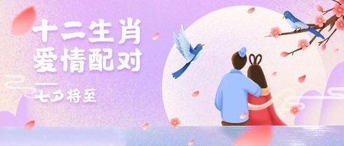 不是爱情,这些生肖对你好只是关切而已