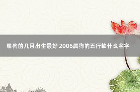 2006年属狗人的运程