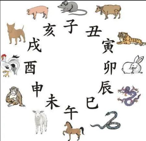 阴肖有哪几个生肖