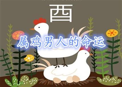 属鸡在什么事上会很自私