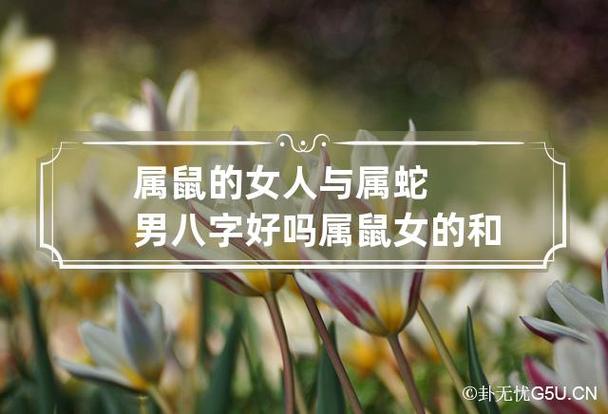 合婚配:生肖鼠女性与属蛇男八字好吗