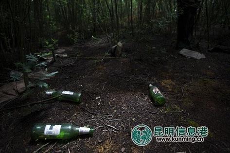 梦见自己在乱坟岗