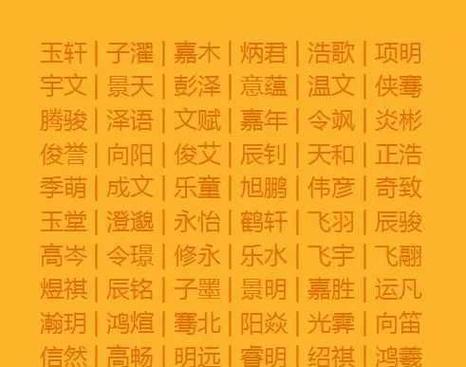 男孩名字叫何子什么