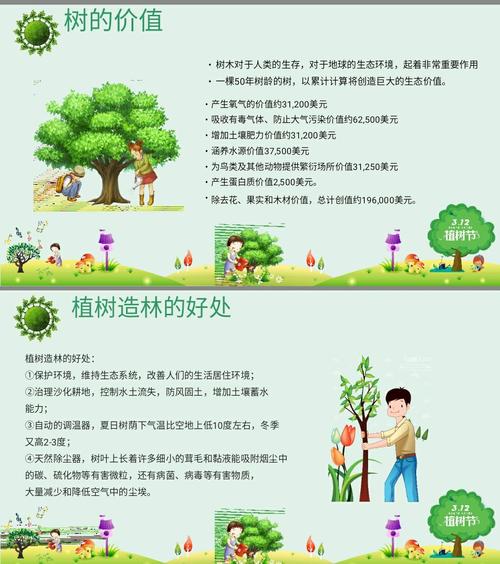 植树节的由来和意义