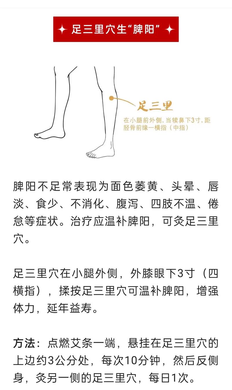几月几日出生的人阳气重