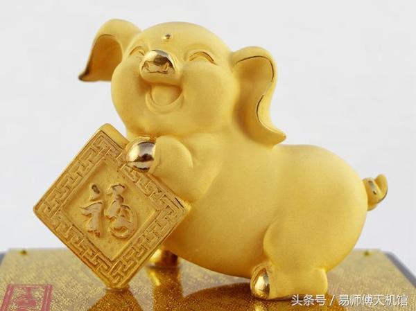 生肖猪的性格缺点有哪些