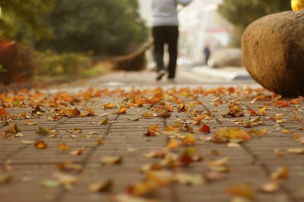 梦见风吹落叶　周公解梦之梦到风吹落叶