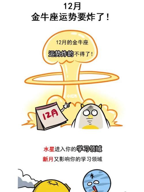 金牛座考了100分的反应