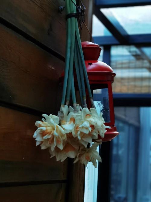办公室养殖丁香花的风水好不好?办公室可以摆放干花吗?