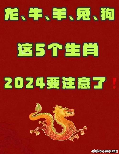 2024年出生是什么命?