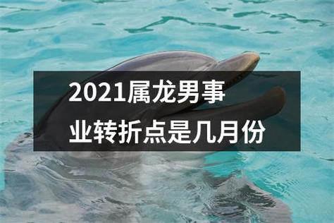 2021年1月属龙男发展趋势如何