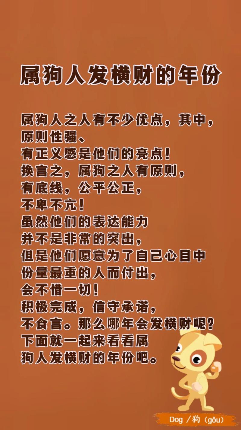 属狗人会怎么规划自己的未来