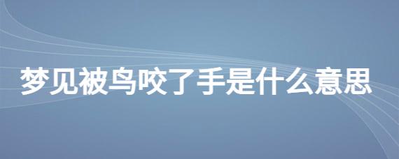 梦见鸟咬我的手