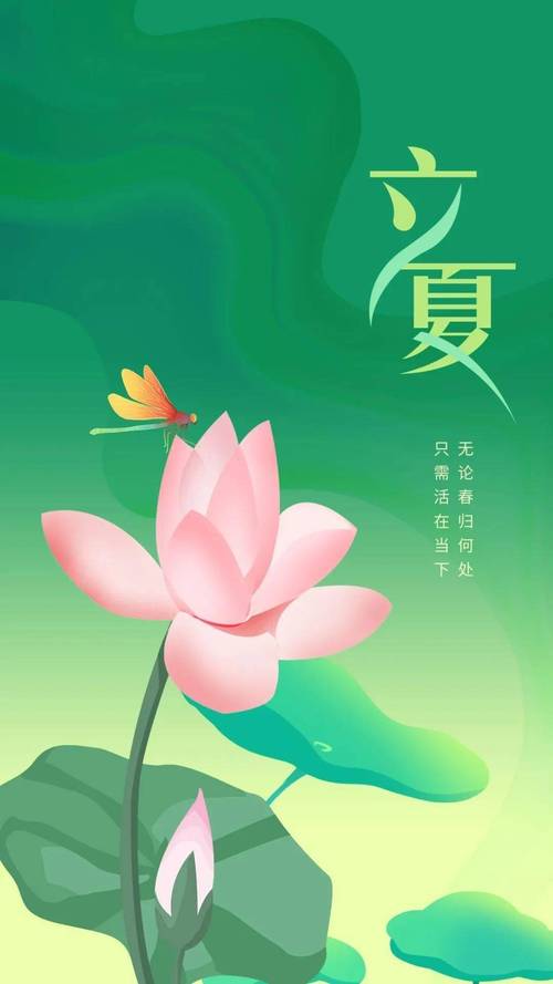 2021年5月5日农历三月二十四立夏出生的男孩命运好吗