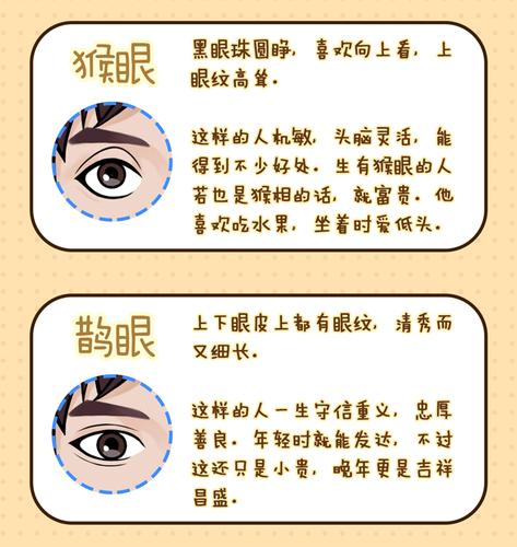 教你相人眼睛识人
