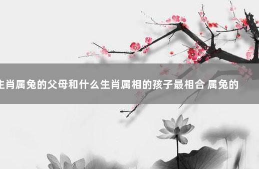 生肖属兔的父母和什么生肖属相的孩子最相合