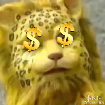 梦见金钱豹是什么意思