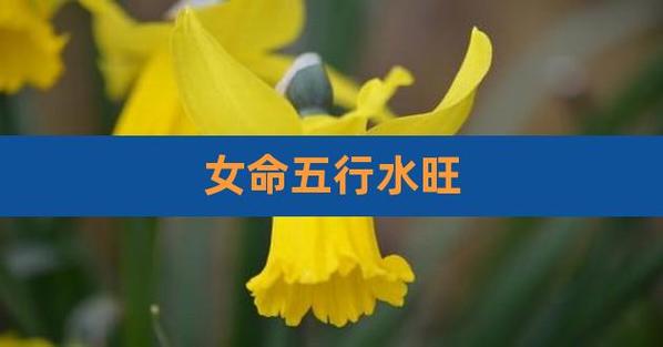 五行水旺的女人