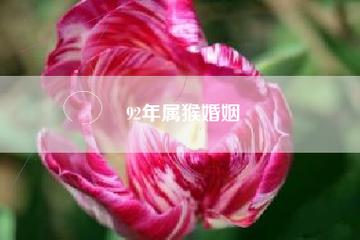 1992年属猴人的婚姻
