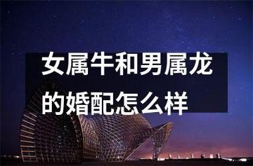 女龙和男牛能结婚么？属龙人生于亥时好吗？