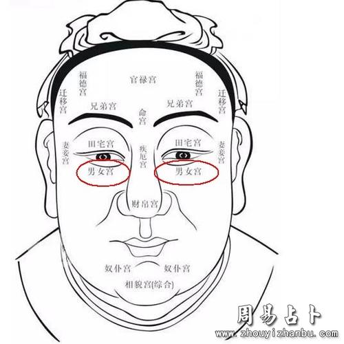 什么面相的孩子有机会成功