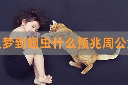 女人梦到蛆是什么意思