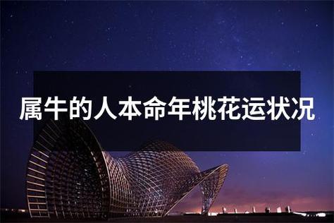 属牛的人本命年桃花运状况