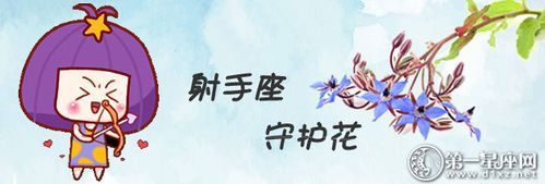 专属于射手座的守护花