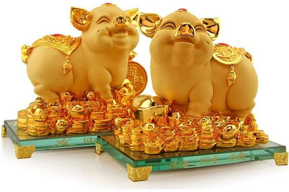 属猪人遇什么年财运最旺