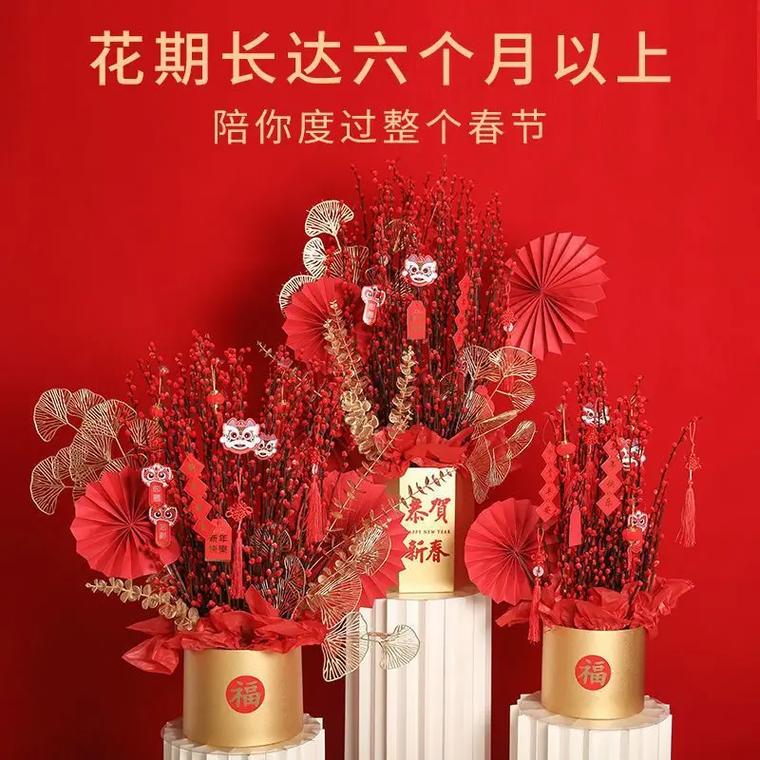 银柳摆放在客厅会有什么好处