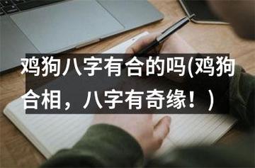 鸡狗八字有合的吗