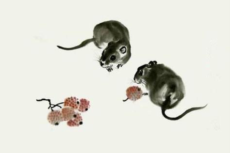 96年属鼠一生婚姻状况
