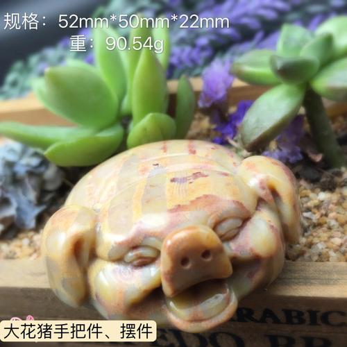 属猪的不能戴猪吗