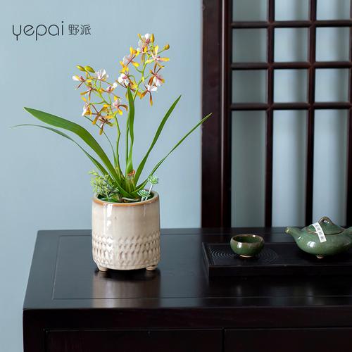 客厅植物插花风水