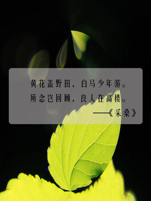 女孩诗经草药取名要注意什么