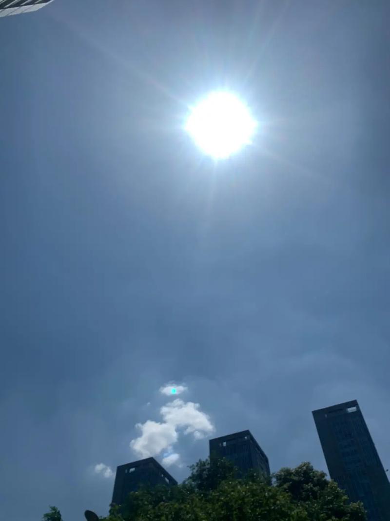 烈日炎炎当空照的生肖代表