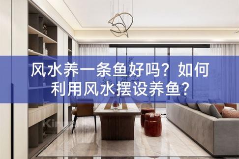 家中养鱼要注意哪些风水要点?