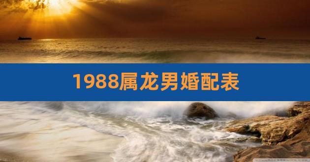 1988年属龙的男生婚配