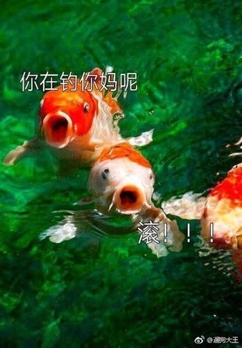 男生喜欢双鱼座女生吗虎扑