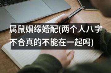 两个属鼠的人在一起合不合