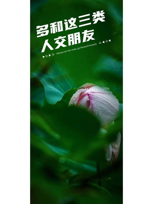 别与这三种人交朋友