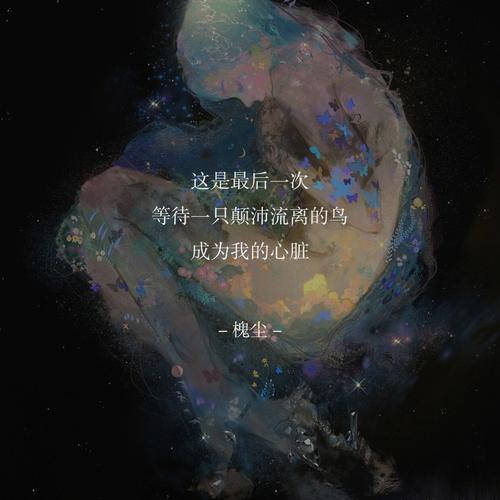 那些愿意陪你颠沛流离的星女们