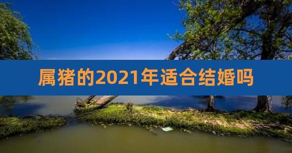 属猪适合2021年结婚吗