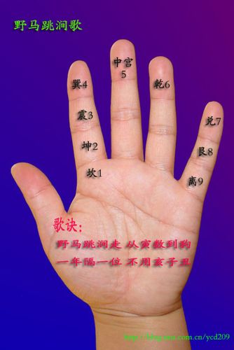 三斤八两命注解