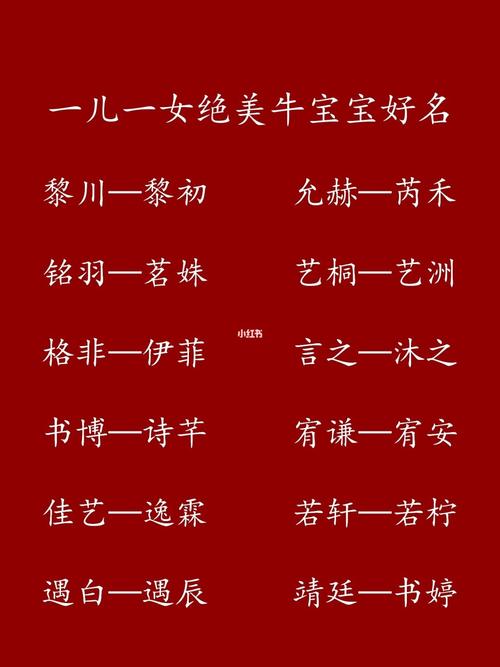牛年双胞胎男孩起名,适合两个男宝宝的名字