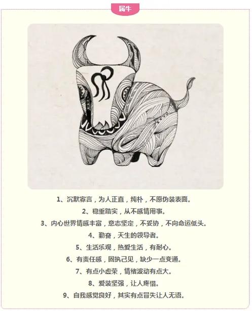 十二生肖个性自我介绍