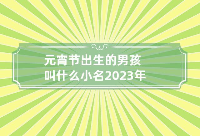 2021年元宵节出生的男孩名字