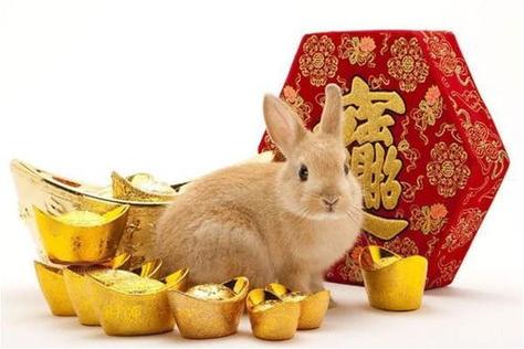 属兔人最好入哪个行业